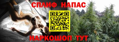 сатива Бугуруслан